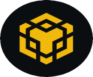 BnB Smart Chain